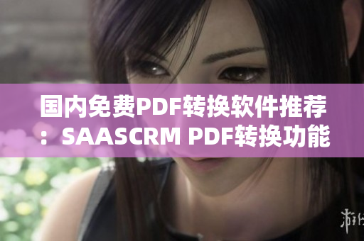 國內免費PDF轉換軟件推薦：SAASCRM PDF轉換功能評測及使用指南