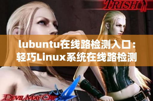 lubuntu在線路檢測(cè)入口：輕巧Linux系統(tǒng)在線路檢測(cè)服務(wù)